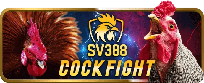 Hình ảnh minh họa trách nhiệm của người dùng tk888 bet