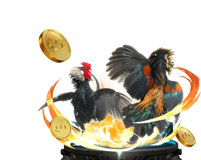 Các loại game Nổ Hũ đa dạng tại TK888 Bet